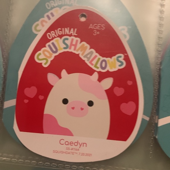 Caedyn heart nose cow 5 inch squishmallow NWT - Picture 5 of 7